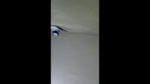 2791 3D online show from January 8, 5:10 am