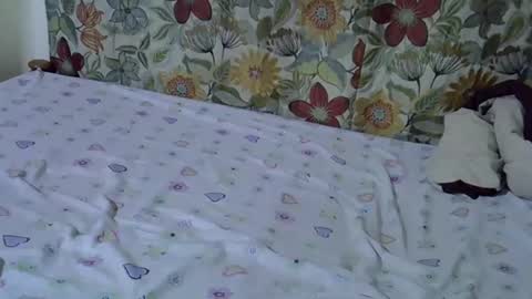 lora_amor online show from April 30, 9:26 am