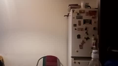 Snapshot of loraflame chatting on December 31, 12:36 pm Lora online show from December 31, 12:36 pm