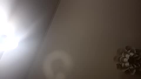 Snapshot of loraflame chatting on January 5, 6:56 pm Lora online show from January 5, 6:56 pm