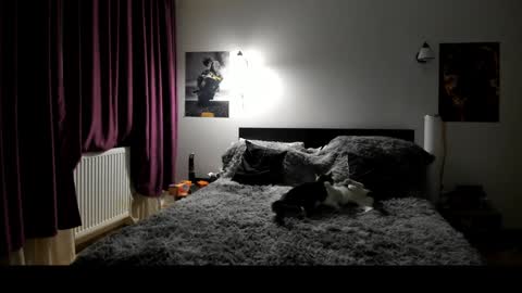 Snapshot of loraflame chatting on January 8, 6:41 pm Lora online show from January 8, 6:41 pm