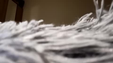 Snapshot of loraflame chatting on January 15, 8:05 pm Lora online show from January 15, 8:05 pm