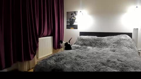 Snapshot of loraflame chatting on February 21, 5:53 pm Lora online show from February 21, 5:53 pm