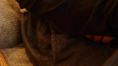 lostinspaxe online show from November 28, 5:26 pm