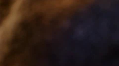 lostinspaxe online show from December 3, 12:25 pm