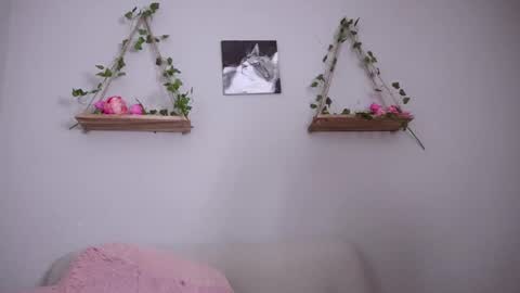 katalina   online show from March 2, 7:43 am