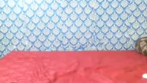 Snapshot of lovefunnitya chatting on July 22, 12:35 am Divya online show from July 22, 12:35 am