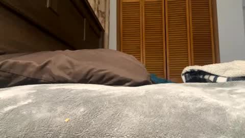 Snapshot of lovelace390 chatting on February 12, 1:27 pm Amber online show from February 12, 1:27 pm