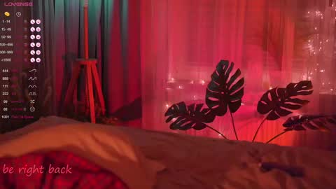 Nelly online show from February 21, 5:20 pm