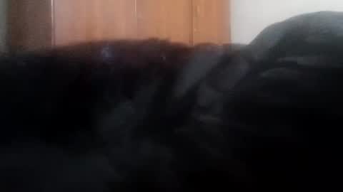 Snapshot of lovely_sweet_girl chatting on January 1, 4:07 am katrina follow me guys online show from January 1, 4:07 am