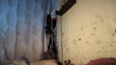 shena can you follow me here and tip me yehawww online show from May 13, 4:37 pm