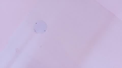 L O V E  online show from March 11, 11:38 am