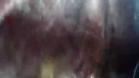 Snapshot of lover_mature2 chatting on February 21, 10:37 pm Mature lover2 online show from February 21, 10:37 pm