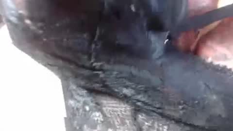 Snapshot of lover_mature2 chatting on February 27, 9:14 pm Mature lover2 online show from February 27, 9:14 pm