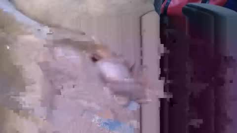 Snapshot of lovesblackazz chatting on March 9, 3:43 am Lovesblackazz online show from March 9, 3:43 am