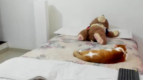 luara__01__lecat_1 online show from February 8, 11:19 pm