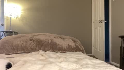 Snapshot of lucy12821 chatting on November 25, 9:59 pm Lucy online show from November 25, 9:59 pm