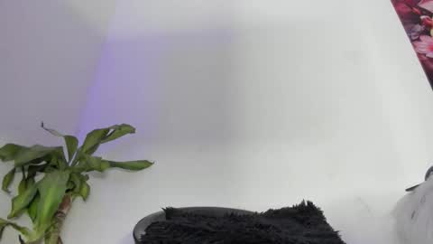 luciana online show from December 21, 2:30 am