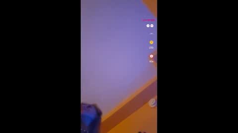 Snapshot of lucyvybes_and_gogert chatting on November 18, 11:58 am Lucy Vybes and Go-Gert online show from November 18, 11:58 am