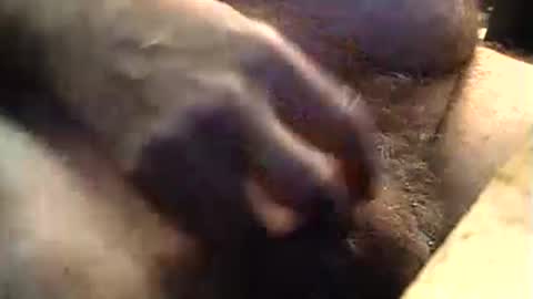 Snapshot of lukestarfckr chatting on September 11, 9:20 am lukestarfckr online show from September 11, 9:20 am