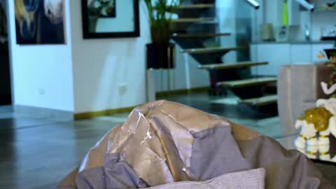 Lukhas f4f online show from February 9, 3:22 am