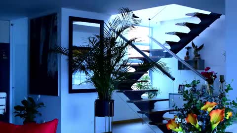 Lukhas f4f online show from February 8, 7:28 pm