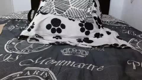 luna ferer online show from December 3, 4:09 am