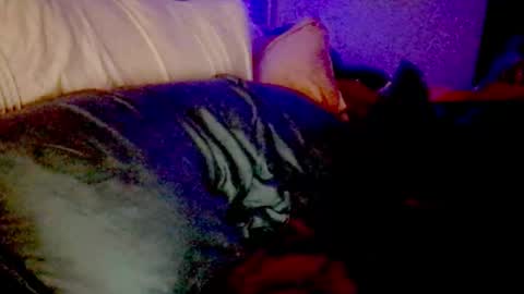 Luna Daddys Girl online show from November 25, 9:20 am