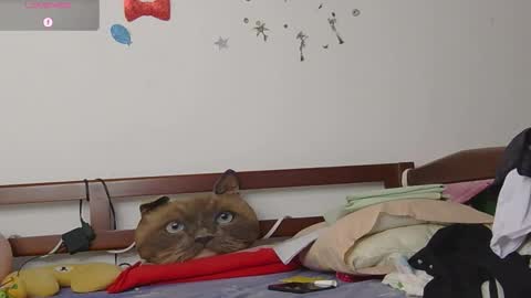 LUNA online show from November 12, 6:41 pm