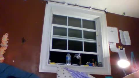 lunasecretadmirer online show from March 1, 5:31 am