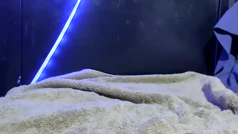 lurkus online show from December 21, 7:48 am