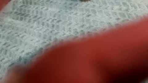 lust_4_daze online show from February 20, 12:49 pm