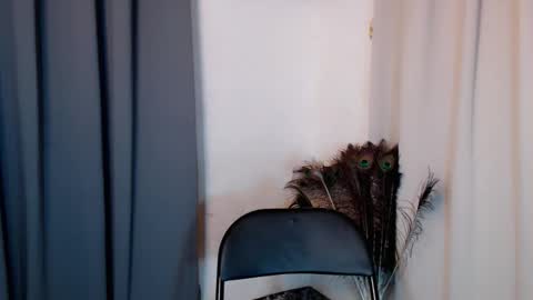 lustyseraphina online show from February 20, 6:52 pm