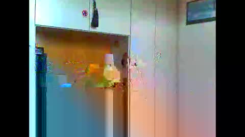 Snapshot of luxx72boy chatting on January 11, 9:47 am luxx72boy online show from January 11, 9:47 am