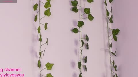 Lyly   online show from October 6, 5:38 am