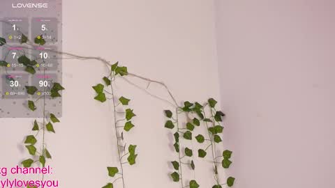 Lyly   online show from October 10, 5:28 am