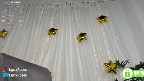 Snapshot of lynxrosen chatting on January 18, 12:13 am Lynx Rosen online show from January 18, 12:13 am