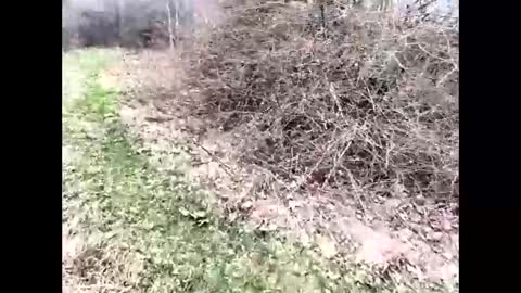 Snapshot of ma747047 chatting on April 6, 11:22 am ma747047 online show from April 6, 11:22 am