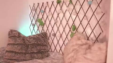 Snapshot of mackenziemoon chatting on November 28, 7:27 pm Noah Askew online show from November 28, 7:27 pm