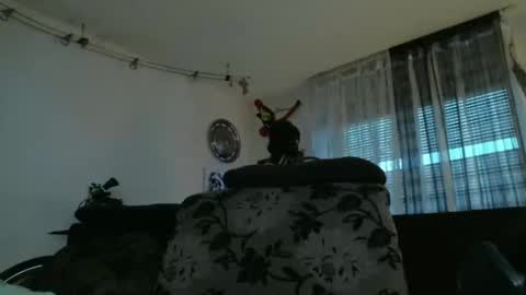 Snapshot of mad_dem0n chatting on December 17, 3:39 pm Manuel online show from December 17, 3:39 pm