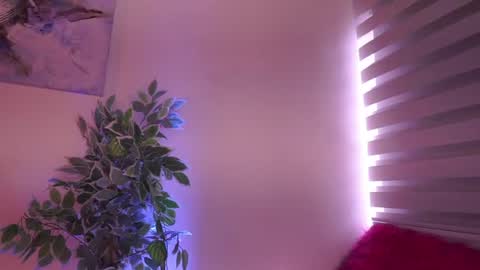 Snapshot of madison_mayer chatting on July 8, 12:31 pm Madison online show from July 8, 12:31 pm