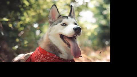 Snapshot of magic_katarina_ chatting on January 25, 2:36 pm magic_katarina_ online show from January 25, 2:36 pm