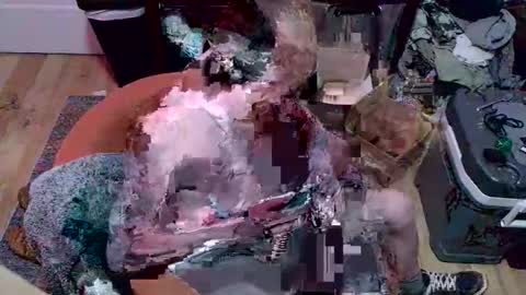 magnetic77slav online show from January 9, 10:55 pm