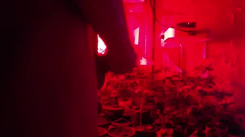 SILVA online show from October 12, 2:43 am