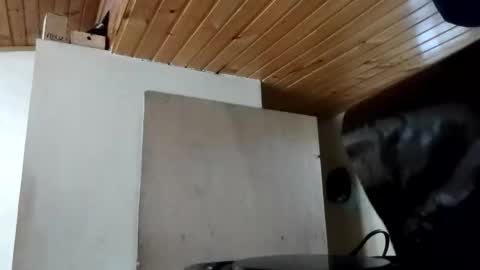 Snapshot of maite_stone1 chatting on October 31, 11:55 am MAITE STONE1 online show from October 31, 11:55 am