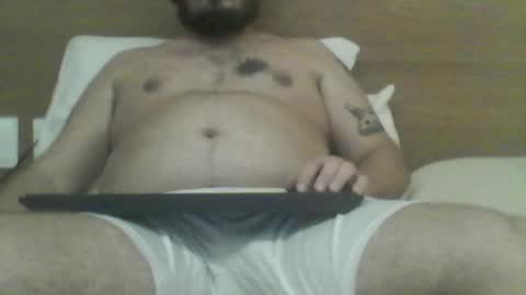 Snapshot of manatee_bear chatting on December 22, 2:30 am manatee bear online show from December 22, 2:30 am