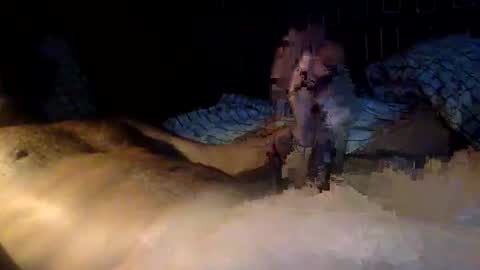 mandalay3 online show from November 9, 10:13 am