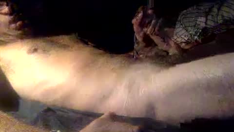 mandalay3 online show from December 16, 5:12 am