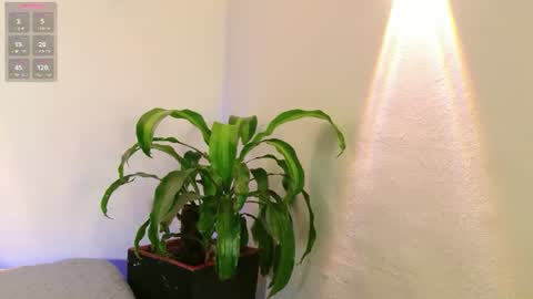 Snapshot of mandyminx66 chatting on July 18, 8:34 pm Mandy Val online show from July 18, 8:34 pm