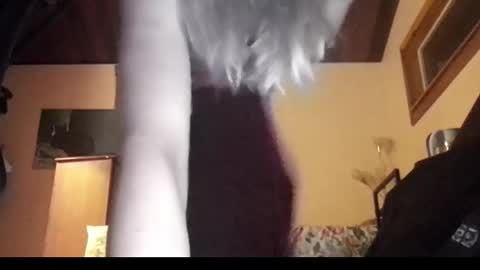 Snapshot of mangoseeed chatting on November 1, 11:12 am mangoseeed online show from November 1, 11:12 am